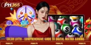 Color Lotto - Comprehensive Guide To Digital Matrix Gaming