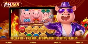 Golden Pig - Essential Information For Active Players