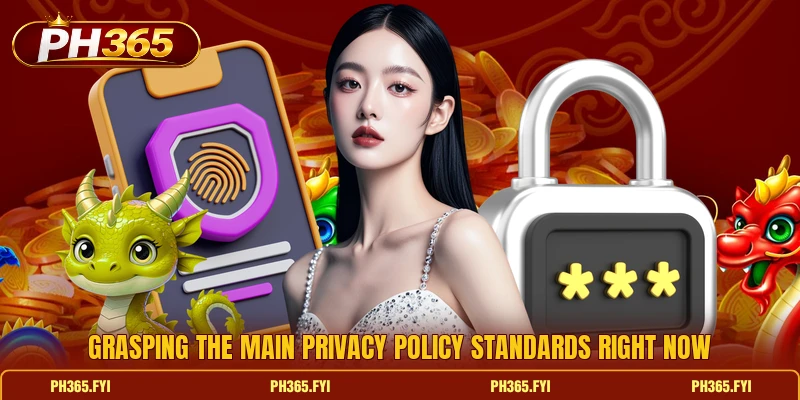 Grasping the main privacy policy standards right now